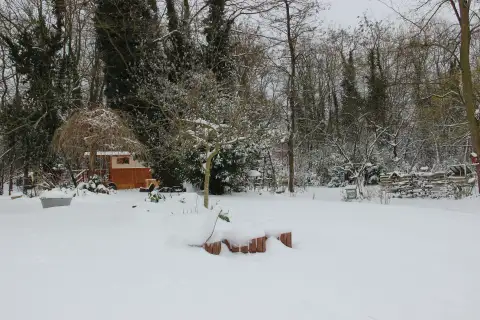 L'environnement — 6
