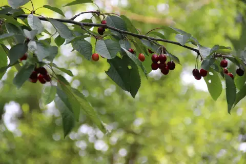 L'environnement — 10