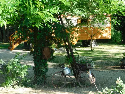 L'environnement — 20